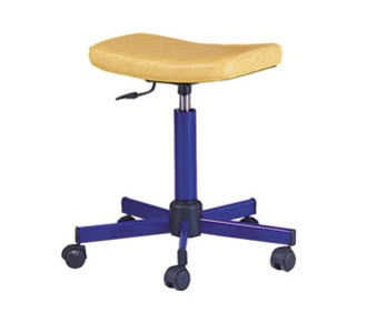 web shop MS 56 